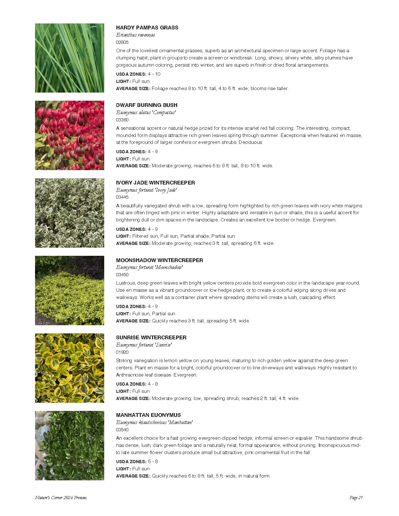 2026 Plant List | Discover Top Plants – Shop Now — Nature's Corner